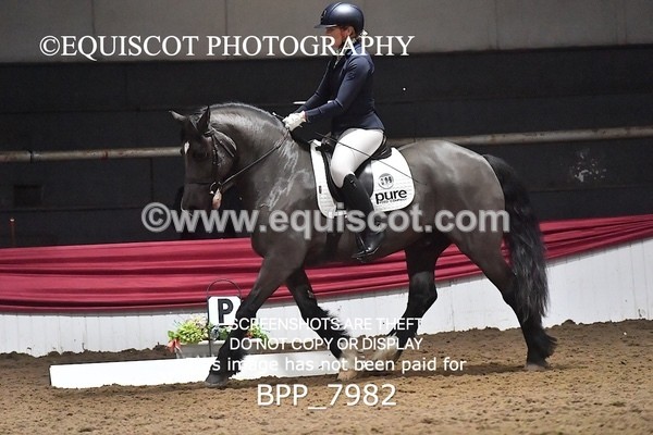 BPP_7982 - ELEM TEST 6