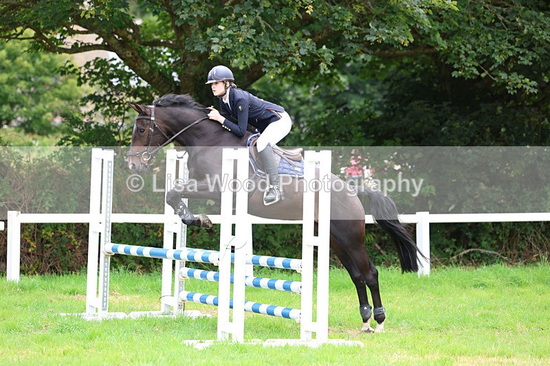 3E7A6978 - Class 5: Senior British Novice/90cm open