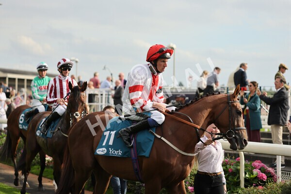 yr04092022r6-13 - Race 6 4.40pm Hanson Springs Stakes