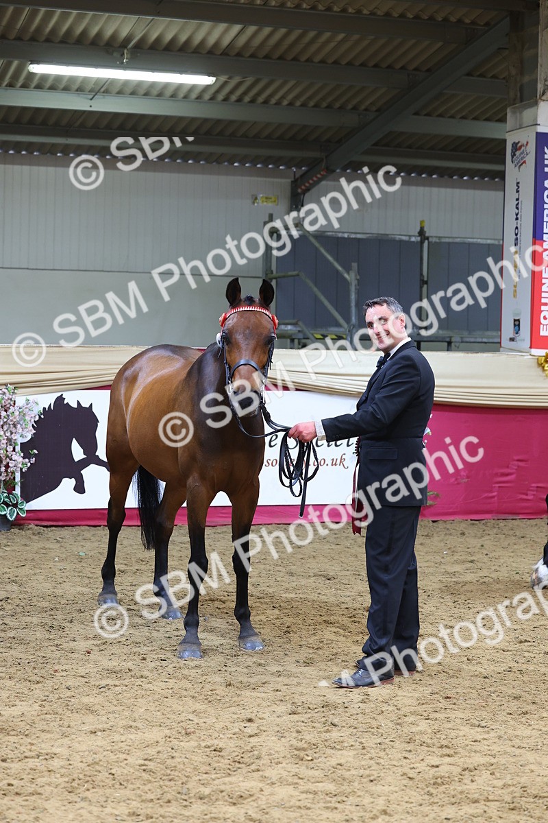 SBM_22958 - Class 903 - Supreme Final - IH Pre Vet