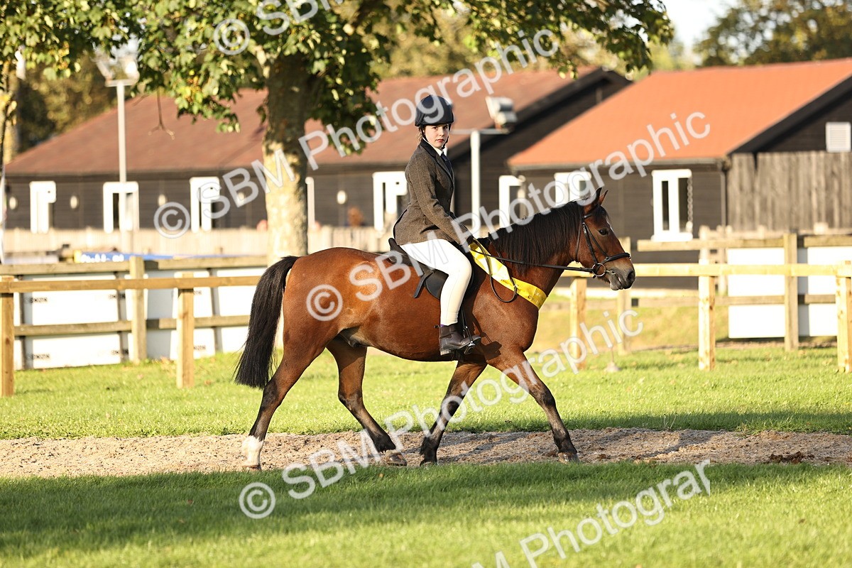 SBM_30098 - Novice & Newcomers Supreme Championship