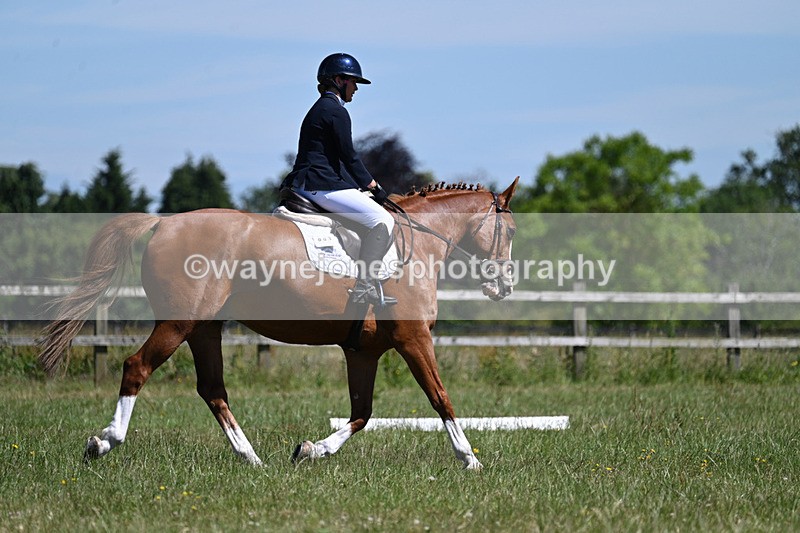 WJ7_0679 - Time 11:00am to 11:27am