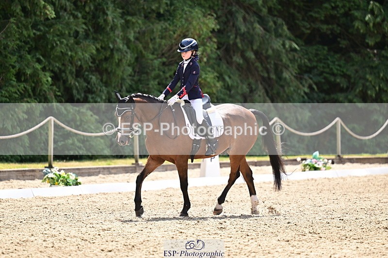 260802A-122418-06204 - Novice Silver break- end