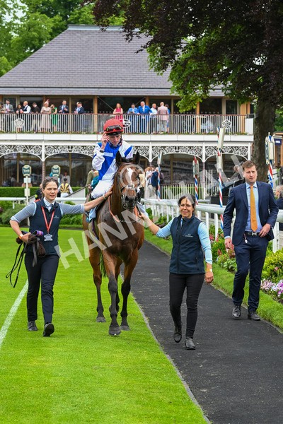 250524-Race 1-Tiriac-2741 - Race 1 1.35pm William Hill Keep Your Raceday Positive Handicap