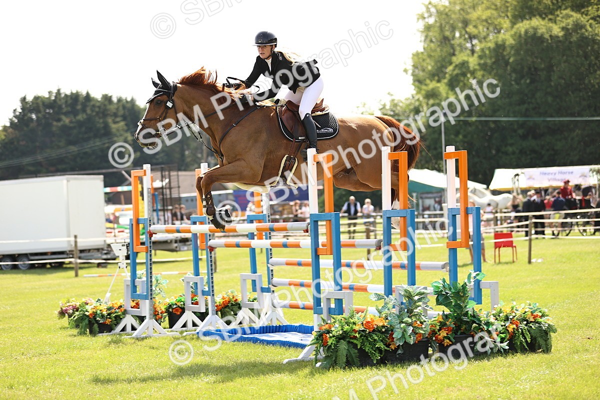 SBM_03108 - Class 201 - British Horse Feedds Speedi Beet HOYS Grade C