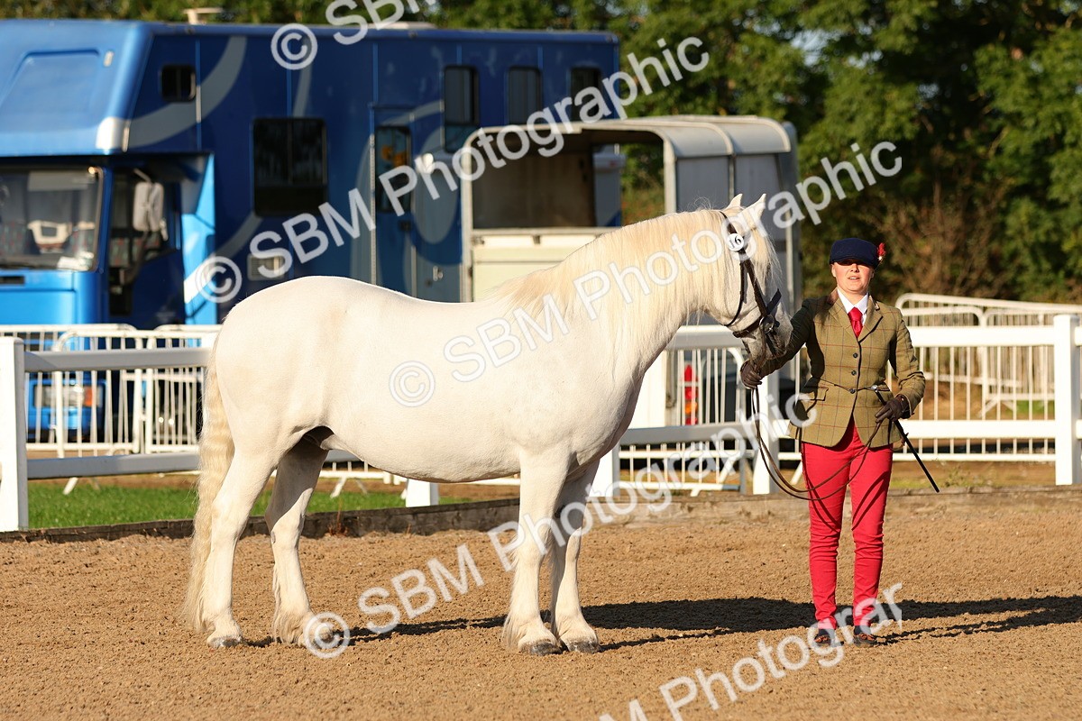 SBM_08005 - Class 201 - Best Turned Out - IH