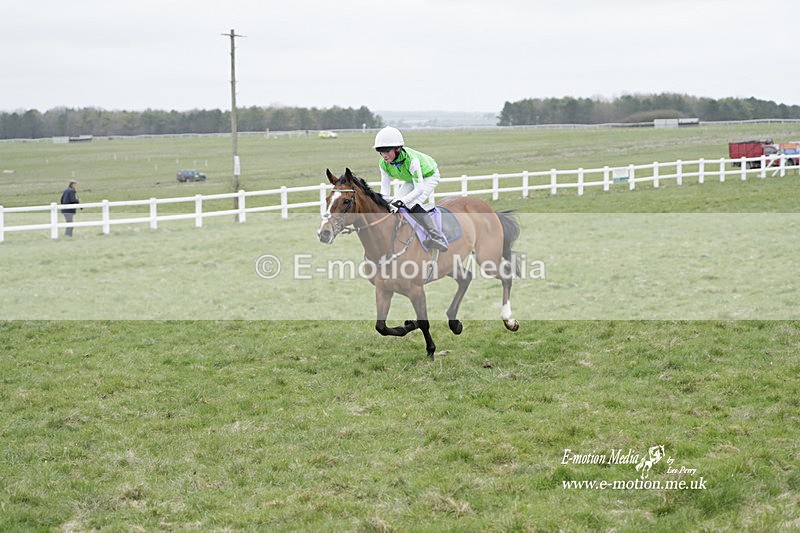 PtP 260323 1131 - New Forest Hounds Point-to-Point Larkhill 26/03/23