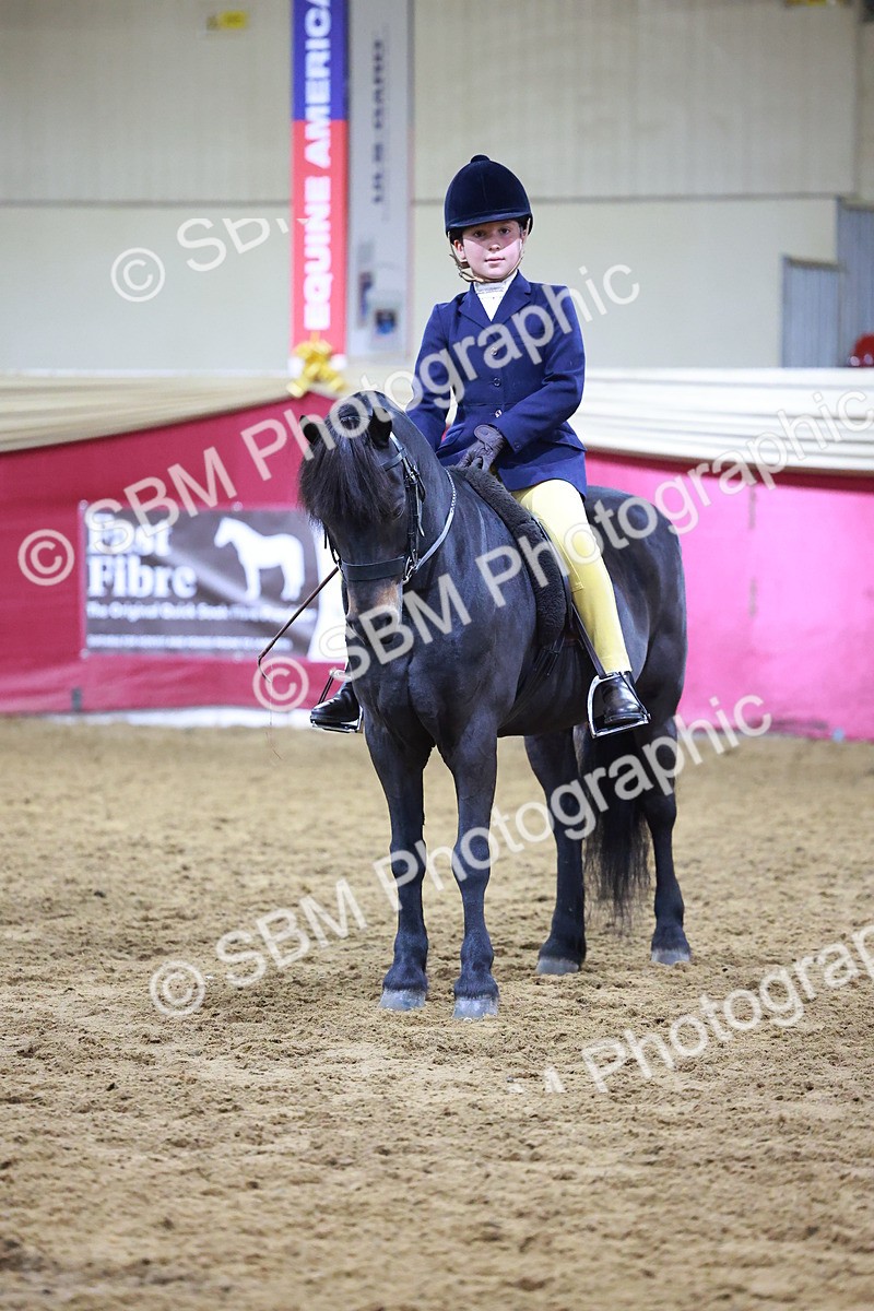 SBM_15259 - Class P - M&M Champ