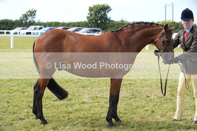 DSC07445 - Class 70: NPS SHP 4 years and over