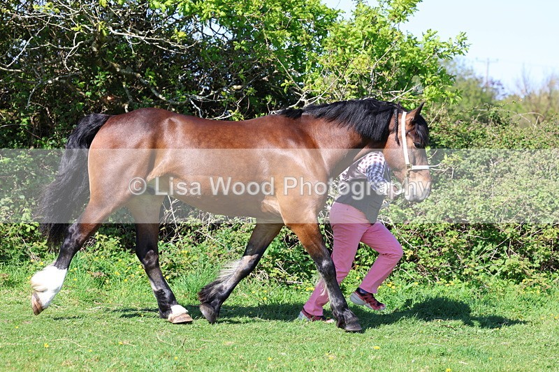 3E7A9438 - Class 16: Best Grass Kept