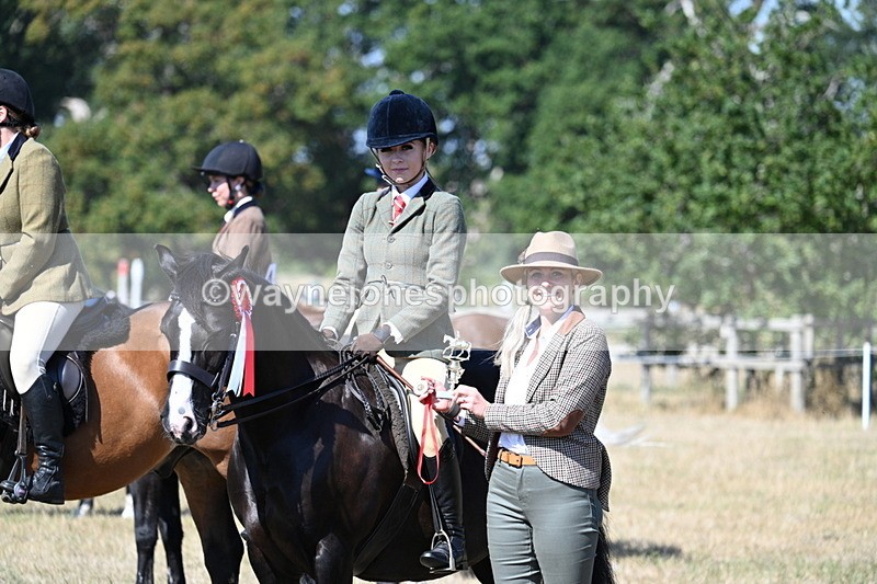 WJ7_4230 - Class 9 Mountain & Moorland Ridden