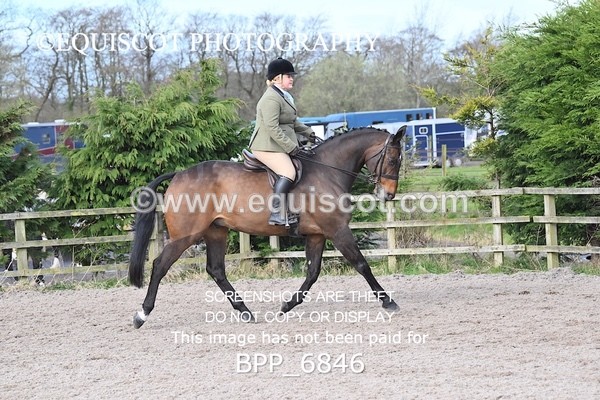 BPP_6846 - RING 1  (RIDDEN HORSES / IN HAND / VETERAN ETC)