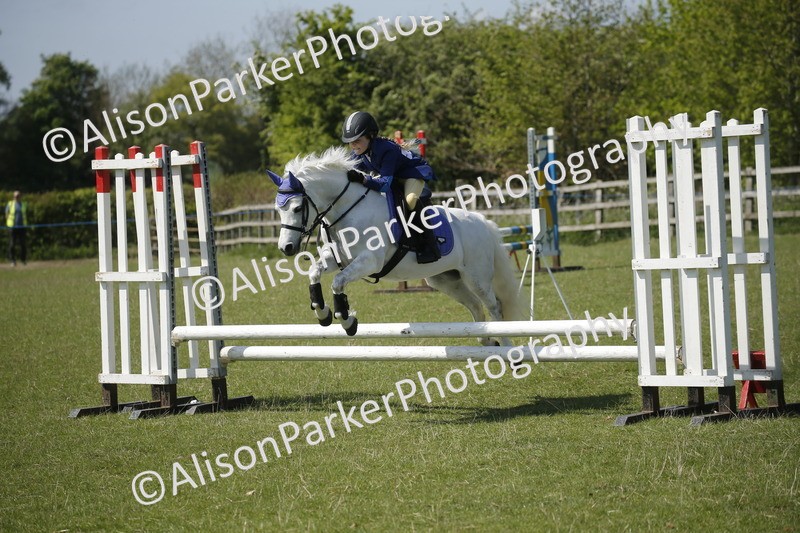 20250427-2322 - Class 13 - Novice Jumping 60cm