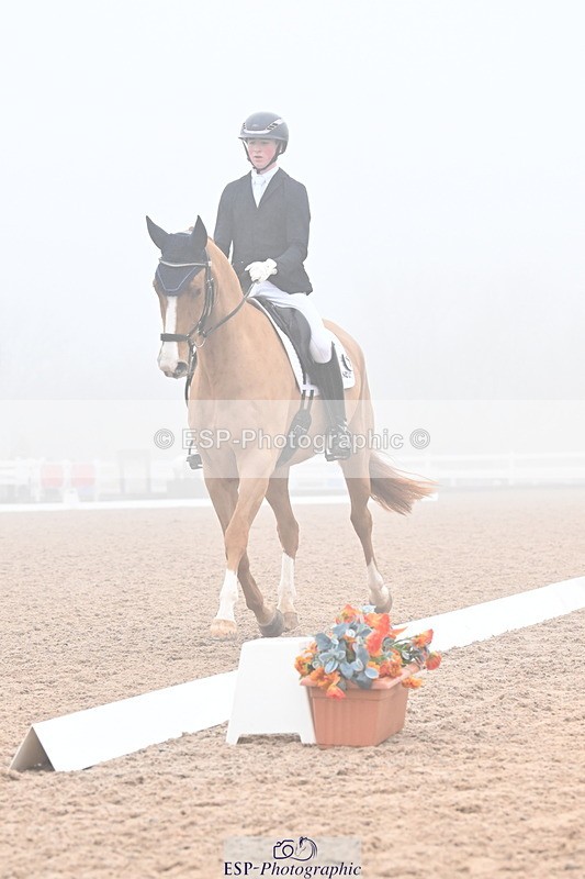 240217A-103239-01110 - 273-Tom.Carter-Newton.Dreamcatcher