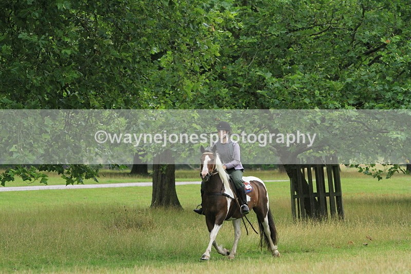 IMF_2620 - Time at Castle Jump 12:29 to 14:06