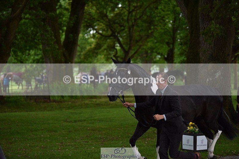 240522-151356-00184 - 377-HONEYBROOK_EXTRA_SPECIAL-Tom_Rowland