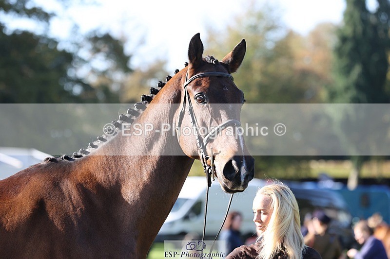 241027-103131-15944 - 582-Courtney.Romcke-JD.ON.THE.ROCKS