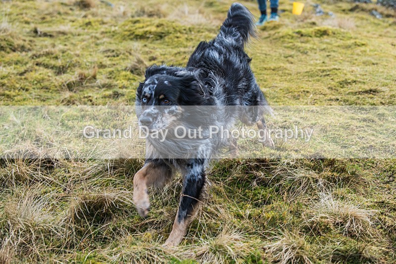 Clough Head-1087 - Kong Running Clough Head Fell Race Saturday 7th February 2026