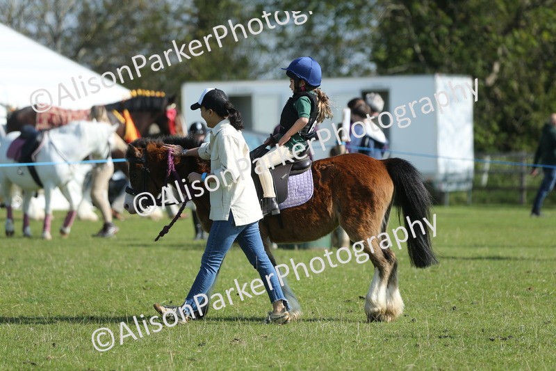 20250427-1011 - Class 1 - Mini Jumping Lead Rein or Assisted