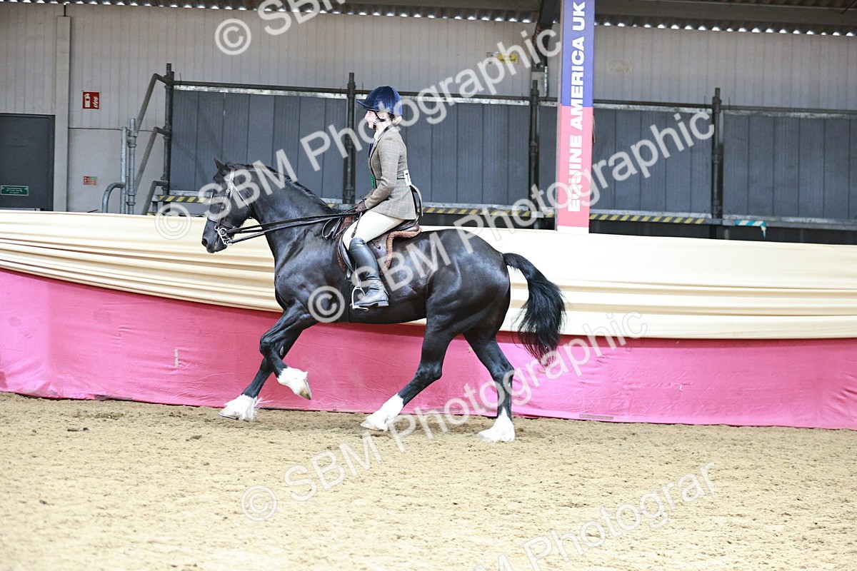 SBM_03731 - Class 6A Area Ridden Pre-Vet
