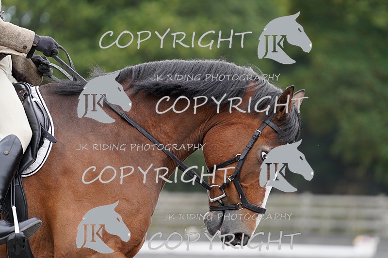 _DSC1875 - NOVICE 2