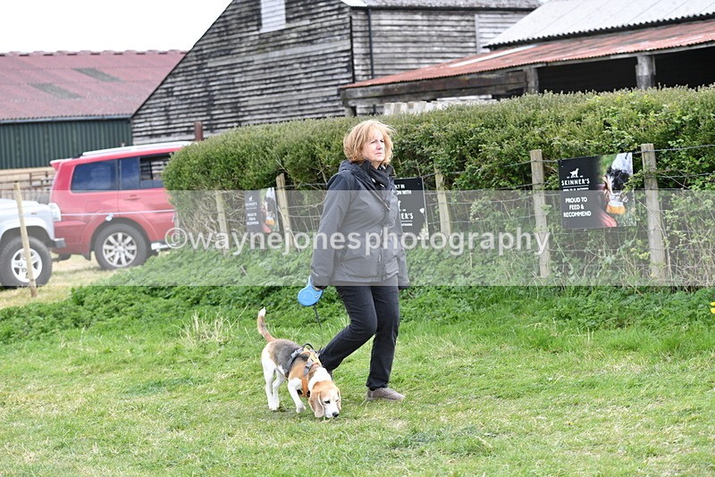 WJ5_0011 - Class 5 Best Veteran / 7 years & over