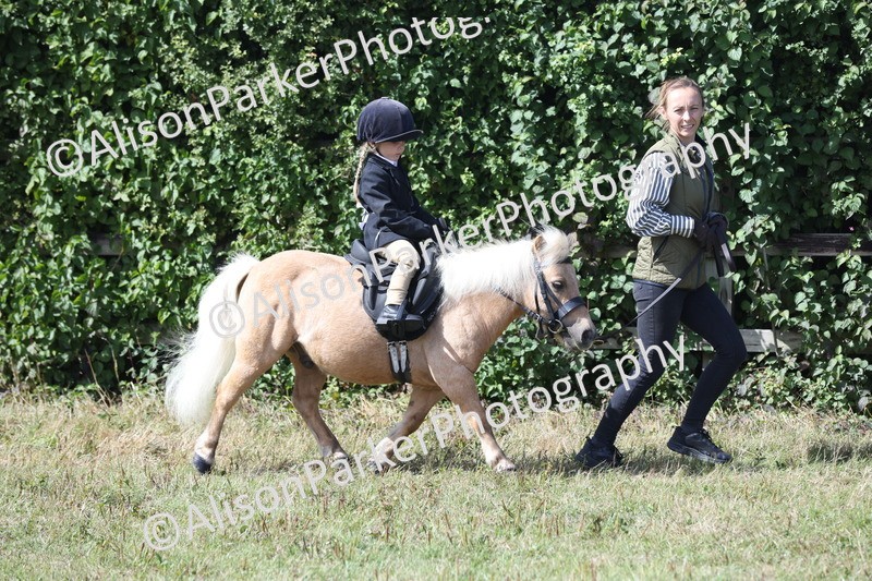 20250831-2659 - Class 17 - Lead Rein Pony