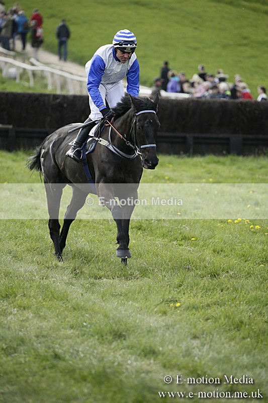 PtP 170417 401 - Old Berks Point-to-Point Lockinge 17/04/17