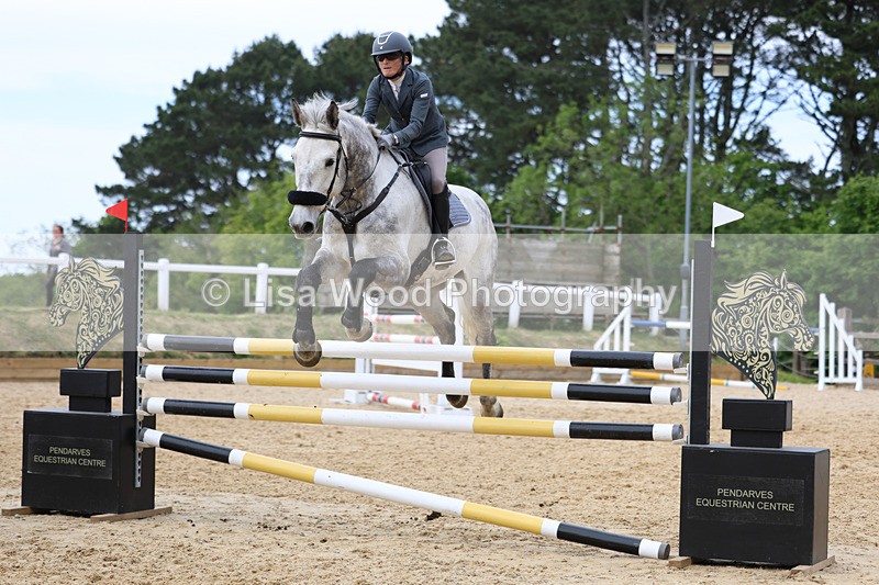 3E7A7548 - Class 8: Senior Foxhunter/1.20 open