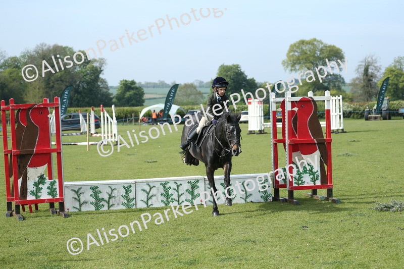 20260426-0209 - Class 13 - Rookie Jumping 50cm