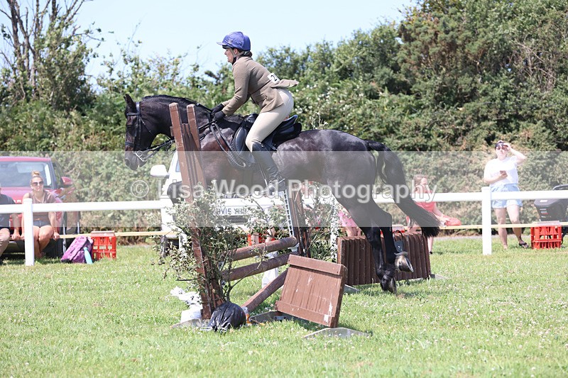 JPP_2551 - Class 21: Working Hunter 60cm