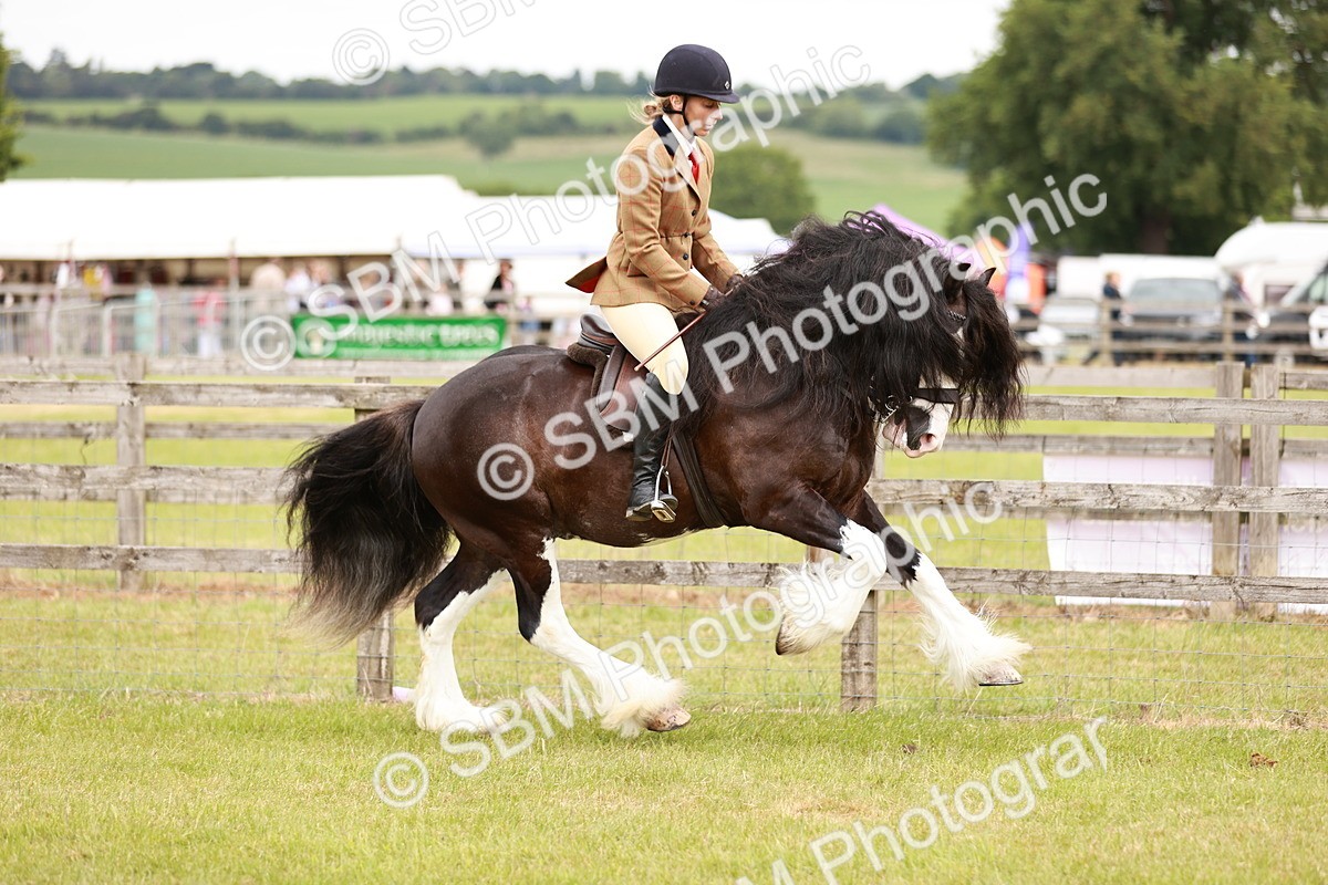 SBM_06126 - Class 39-41 TGCA In Hand and Ridden