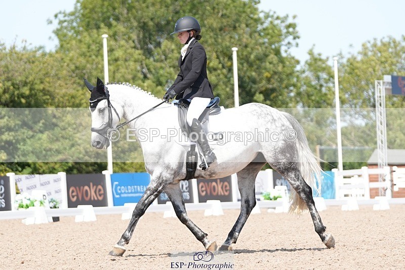 250817-130525-09564 - 181-Charlotte.DodsonLady's.Midnight.Proposal