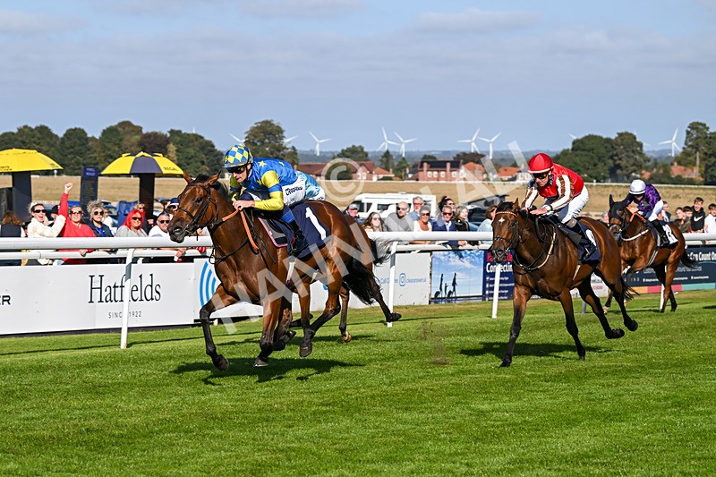 180924-Race 5-Blue Zodiac-4803 - Race 5