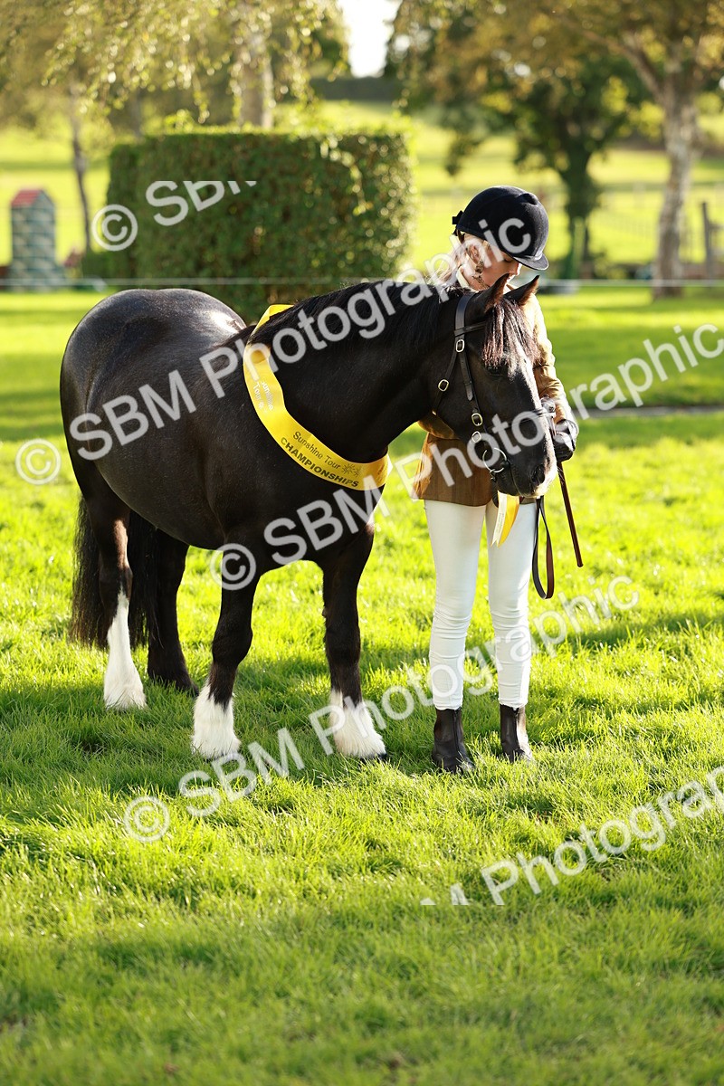 SBM_29283 - Novice & newcomer Supreme Championship