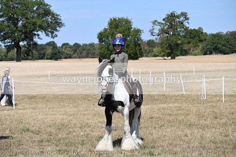 WJ6_9022 - Class 38 Ridden Riding Horse/Pony