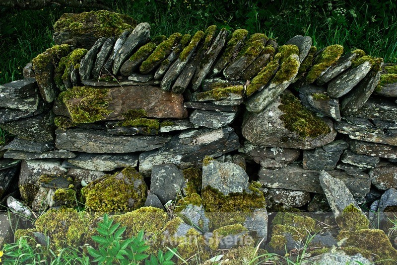 DSC01880 - Easdale West Scotland