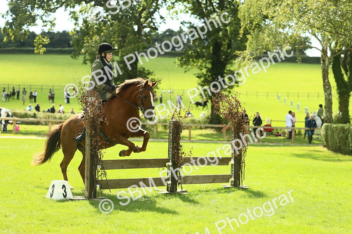 SBM_42886 - S30 - M&M Working hunter Pony
