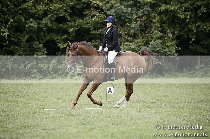 BVR090918 134 - BVRC Dressage and Show Jumping 09/09/18