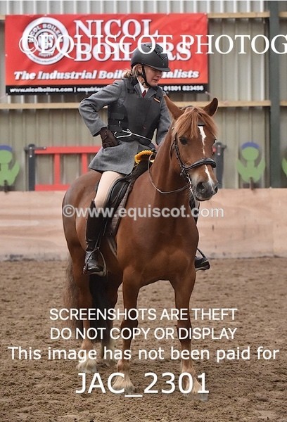 JAC_2301 - CLASS 2 Novice Working Hunter