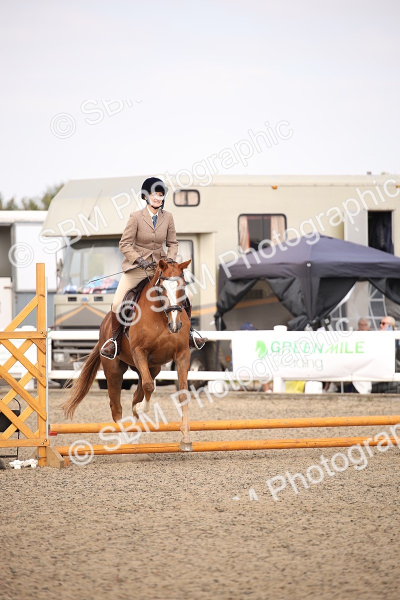 SBM_13592 - Class 406b - Working Veteran 50cm (20+)