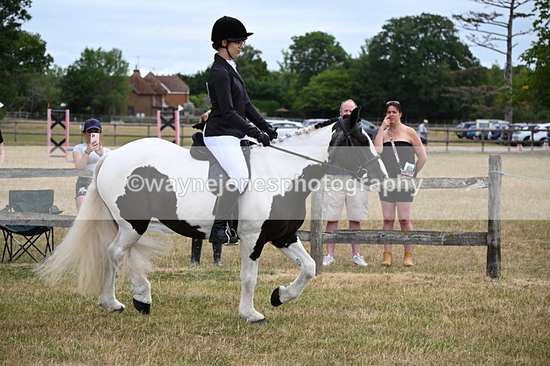WJ6_3915 - Class 9 Tack & Turnout