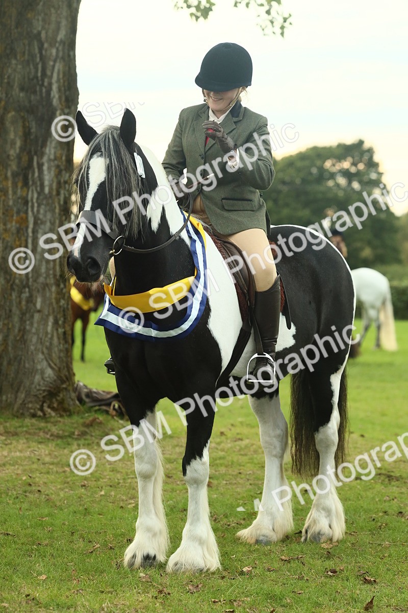 SBM_75290 - Super Supreme Championship