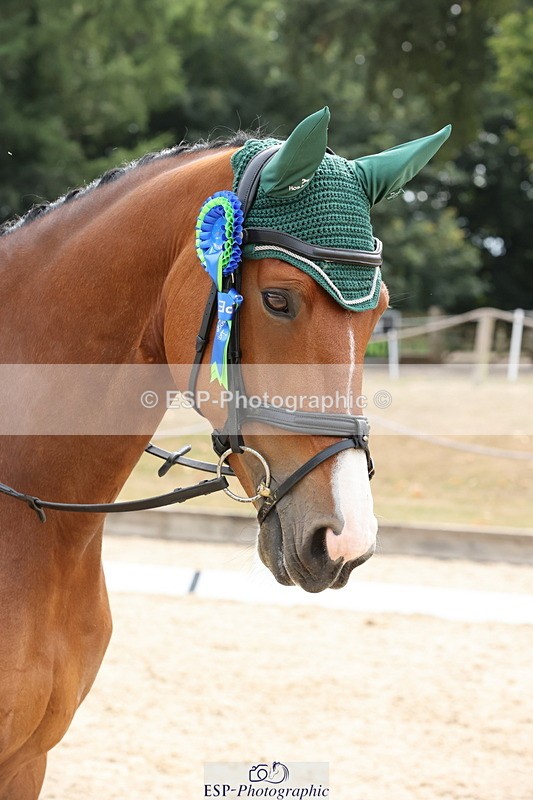 250718A-163539-02905 - Fri Presentations