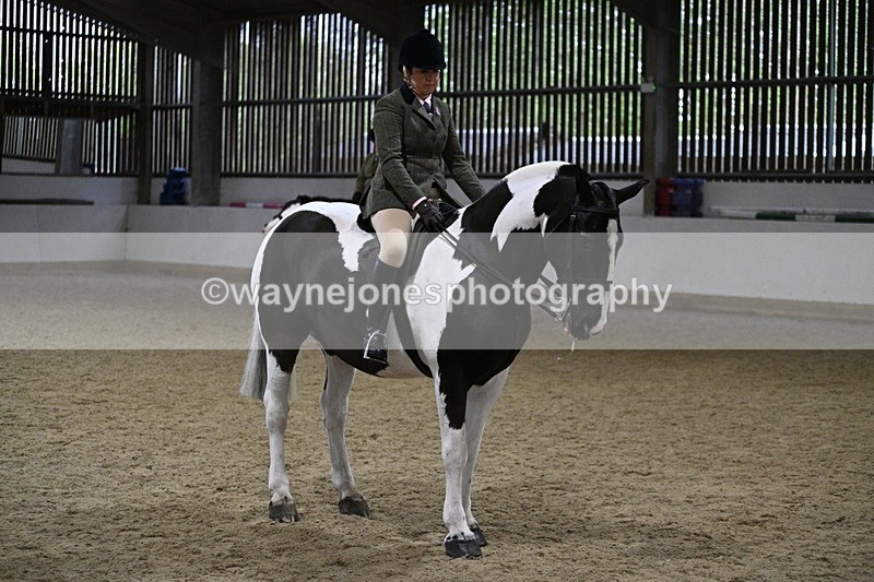 WJ7_4042 - Class 17 Ridden Cob