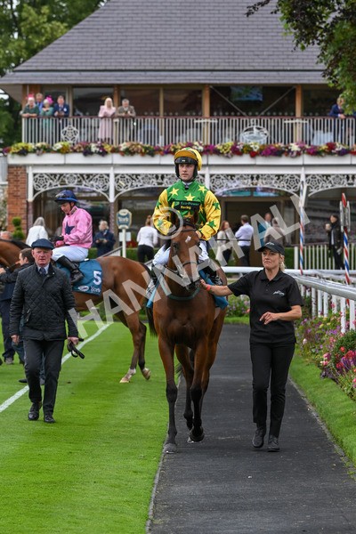 120724-Race 3-Royalty Bay-6017 - Race 3 3.15pm William Hill Keep Your Raceday Positive Irish EBF Fillies' Novice Stakes