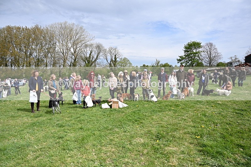 WJ6_8393 - Class 4 Prettiest Bitch