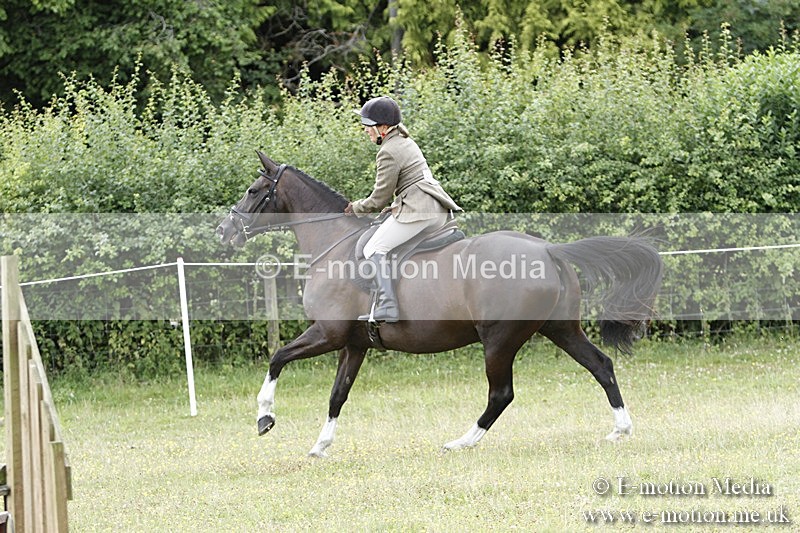 BVR160717-1845 - Ring 3 BVRC Show 16/07/17