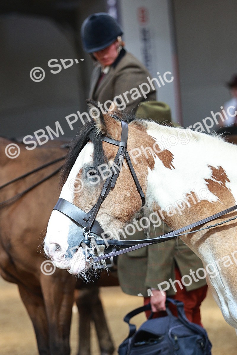 SBM_07052 - Class 10R - Regional Ridden Diamond