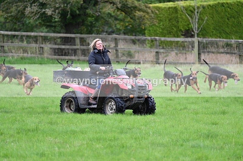 WJ7_4345 - Camera 1 Line 3